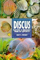 Discus, Keeping & breeding them in captivity