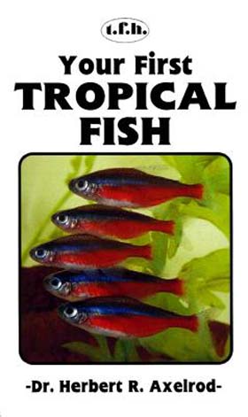 Your First Tropical Fish
